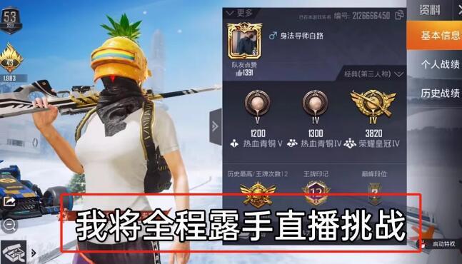 和平精英辅助得类型分为那些